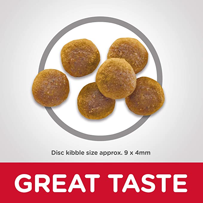 Dry Cat Food - Image 3
