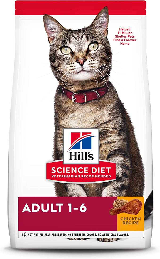 Dry Cat Food - Image 2